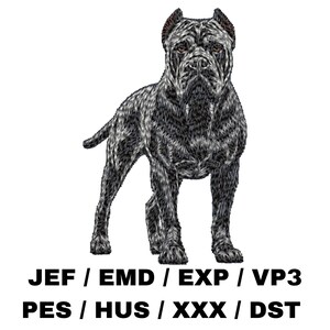 Puede incluir: Un perro de raza Cane Corso negro y gris de pie con las patas delanteras ligeramente separadas. El perro tiene una expresión seria y mira directamente a la cámara. El texto "JEF / EMD / EXP / VP3 PES / HUS / XXX / DST" está debajo del perro.