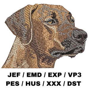 Puede incluir: Diseño bordado de la cabeza de un perro Bloodhound marrón y negro, mirando hacia la derecha. El texto "JEF / EMD / EXP / VP3 PES / HUS / XXX / DST" está debajo de la imagen.