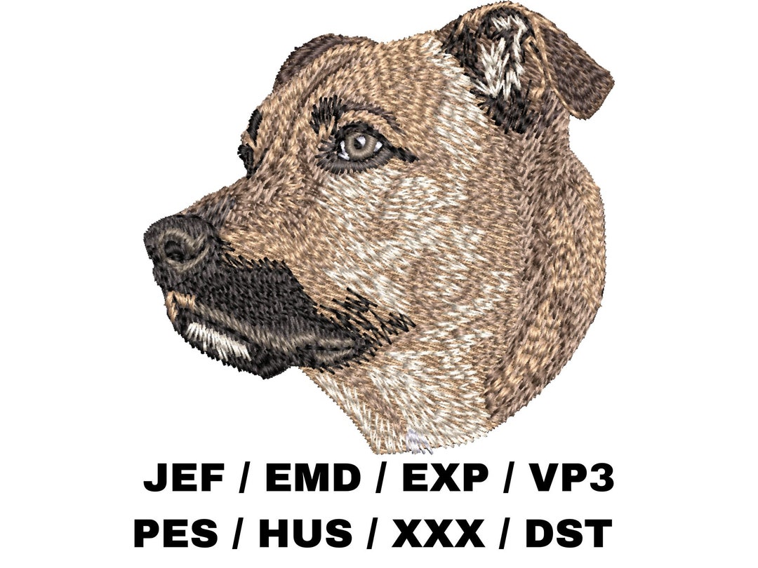 Black Mouth Cur Realistic Portrait, Rare Breed, Adorable Design