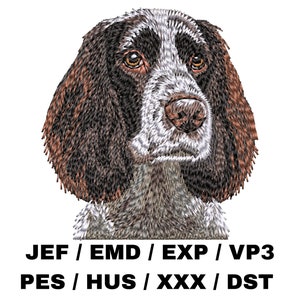 Puede incluir: Diseño bordado de la cabeza de un perro Springer Spaniel marrón y blanco. El perro está mirando hacia la derecha. El diseño es para máquinas de bordado e incluye los formatos de archivo JEF, EMD, EXP, VP3, PES, HUS, XXX y DST.