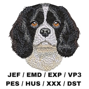 May include: Embroidered dog face with black and white fur, brown eyes, and a white muzzle. The image includes the text "JEF / EMD / EXP / VP3" and "PES / HUS / XXX / DST" in black font at the bottom.