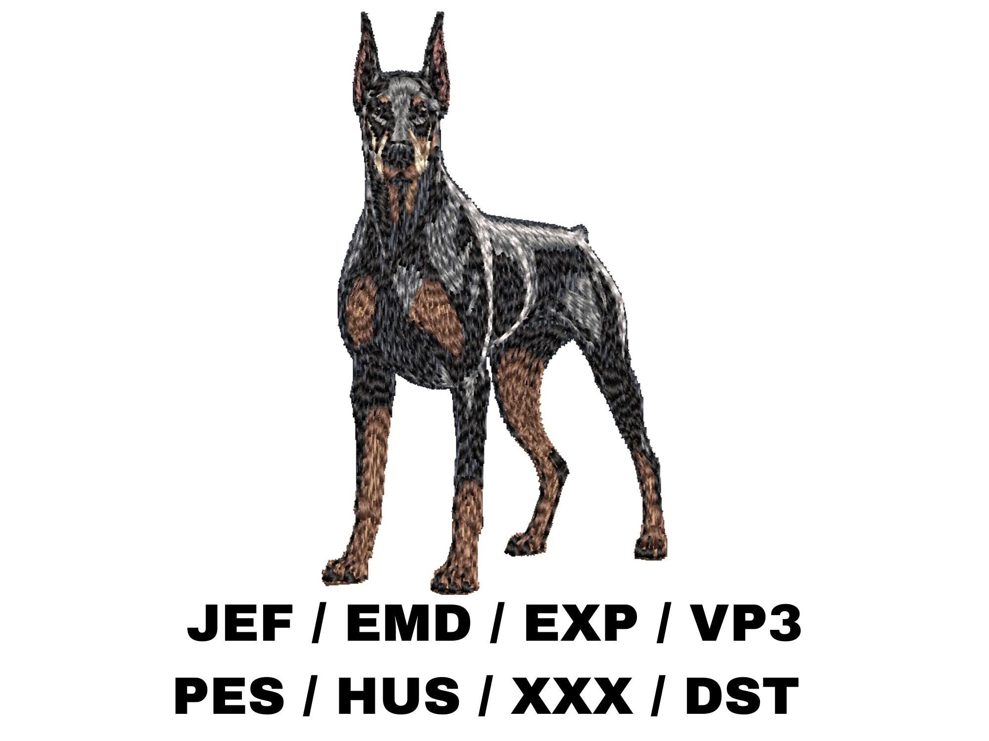 Toliq metrajli italyan retro porno Porno yozuvlar 2012 yil 10 fevral