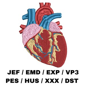 May include: A detailed embroidered image of a human heart with red, blue, and yellow stitching. The heart is shown in anatomical detail with the aorta, pulmonary artery, and other vessels visible.
