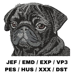May include: A black pug dog with a wrinkled face and large, dark eyes. The dog is looking directly at the viewer.