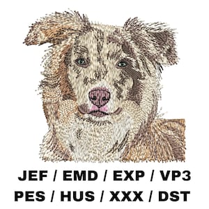 Op de afbeelding: Geborduurde afbeelding van een bruine en witte Australian Shepherd hond met een roze neus. De hond kijkt rechtstreeks naar de kijker.