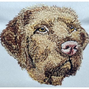 May include: Embroidered image of a brown dog's head with a pink nose and yellow eyes.