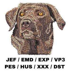May include: Embroidered design of a chocolate brown Labrador Retriever's head. The dog has a serious expression and is looking directly at the viewer. The embroidery is detailed and realistic.