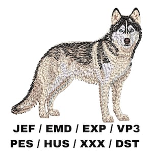 Puede incluir: Diseño bordado de un perro husky blanco y negro de pie sobre un fondo blanco. El texto "JEF / EMD / EXP / VP3 PES / HUS / XXX / DST" está debajo del perro.