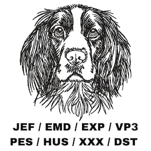 May include: Black and white line art illustration of a Springer Spaniel dog with floppy ears.