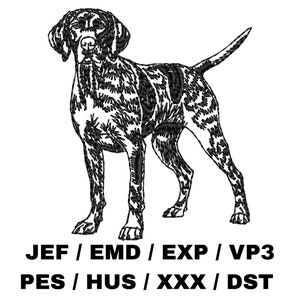 Può includere: Illustrazione in bianco e nero di un Bracco tedesco a pelo corto in piedi con la testa girata di lato. Il cane è raffigurato in una posa di caccia classica.