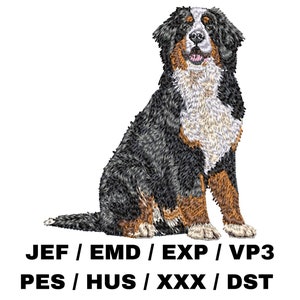 Może przedstawiać: Bernenskie psy pasterskie siedzące z przednimi łapami skrzyżowanymi. Pies ma czarno-biało-brązowe futro.