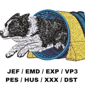 May include: An embroidered design of a Border Collie dog emerging from a yellow and blue agility tunnel. The dog is black and white. The image includes text at the bottom indicating embroidery file formats.