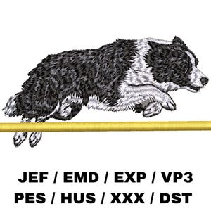 May include: An embroidered design of a Border Collie dog jumping over a yellow bar. The dog is black and white, with detailed stitching. The image includes text at the bottom: JEF / EMD / EXP / VP3 PES / HUS / XXX / DST.