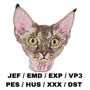 May include: An embroidered cat face with large, yellow eyes, pink inner ears, and a brown and tan coat. The image includes the text "JEF / EMD / EXP / VP3" and "PES / HUS / XXX / DST" in black, indicating embroidery file formats.