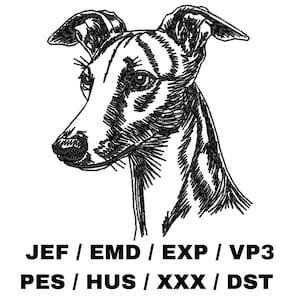 May include: Black and white line art illustration of a Whippet dog's head. JEF / EMD / EXP / VP3 PES / HUS / XXX / DST