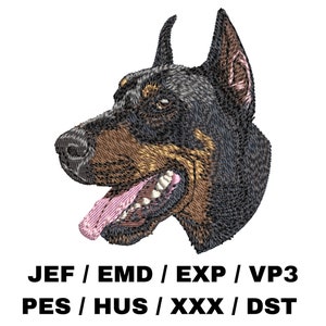 Puede incluir: Diseño bordado de la cabeza de un perro Doberman Pinscher con pelaje negro y marrón, lengua rosa y dientes blancos. El diseño es adecuado para proyectos de bordado en los formatos: JEF, EMD, EXP, VP3, PES, HUS, XXX, DST.