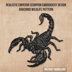 Diseño de bordado a máquina de Escorpión Emperador, patrón realista de arácnido para bastidor de 4x4, archivos digitales PES DST JEF