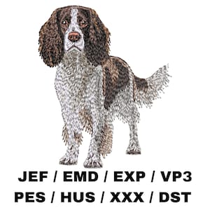 May include: Embroidered image of a brown and white Springer Spaniel dog. The dog is standing with its head tilted slightly to the side. The image is surrounded by text that reads "JEF / EMD / EXP / VP3 PES / HUS / XXX / DST".