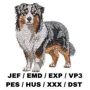 May include: Embroidered design of an Australian Shepherd dog standing with its head turned to the side. The dog is black, brown, and white. The design is suitable for embroidery projects.