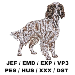 Puede incluir: Imagen bordada de un perro, probablemente un Setter inglés, con pelaje moteado blanco y marrón. El perro está sobre un fondo blanco. Debajo, las abreviaturas de texto: JEF / EMD / EXP / VP3 PES / HUS / XXX / DST.