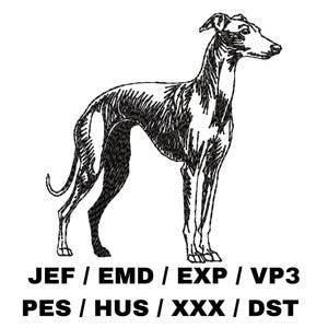 Puede incluir: Dibujo en blanco y negro de un galgo de pie sobre un fondo blanco. El texto "JEF / EMD / EXP / VP3 PES / HUS / XXX / DST" está debajo de la imagen.