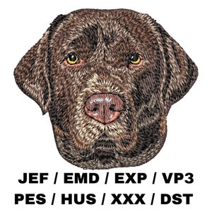 May include: Embroidered design of a brown Labrador Retriever's head. The dog has a serious expression with its ears perked up. The design is suitable for embroidery projects using JEF, EMD, EXP, VP3, PES, HUS, XXX, and DST file formats.