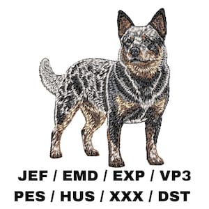 Australian Cattle Dog Full Body - Realistic Design, Cute Pattern, Dog Lover, Pet Owner, Canine Art, Animal Craft, DIY Gift, Breed Collection
