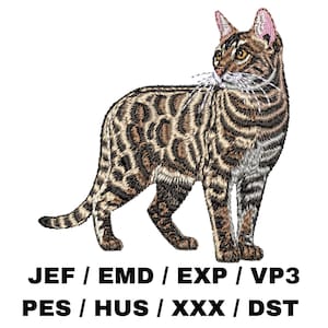 Peut inclure: Un chat tabby brun et noir avec une poitrine et des pattes blanches. Le chat est debout sur un fond blanc. JEF / EMD / EXP / VP3 PES / HUS / XXX / DST