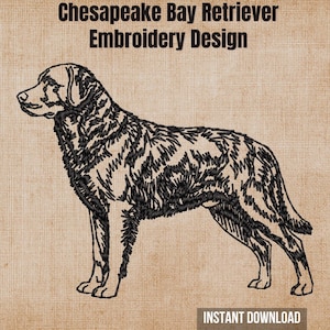 May include: A black embroidery design of a Chesapeake Bay Retriever standing in profile. The text Chesapeake Bay Retriever Embroidery Design is at the top, and the text Instant Download is at the bottom, all on a textured tan background.