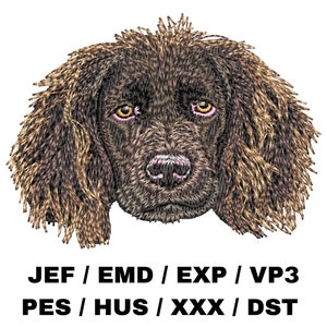 Plik do haftu Boykin Spaniel - Swamp Poodle, LBD, Little Brown Devil, Realistyczny pies, Uroczy zwierzak, Rzemiosło dla zwierząt, Miłośnik psów, Rzemiosło DIY