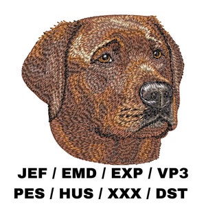 Puede incluir: Diseño bordado de la cabeza de un Labrador Retriever marrón, mirando hacia la derecha. El diseño es adecuado para máquinas de bordado e incluye los formatos de archivo JEF, EMD, EXP, VP3, PES, HUS, XXX y DST.