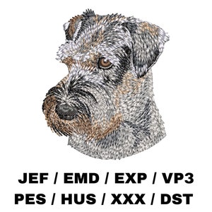 Standard Schnauzer - Wire-Haired Pinscher, Adorable Animal Craft, Cute Pet Portrait, Realistic Dog Project, Trendy Embroidery, Custom DIY