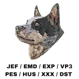 Australian Cattle Dog embroidery file, Dog Gifts, Realistic Dog, Trendy embroidery designs, Red Heeler, Blue Heeler, ACD Breed, Tea Towel