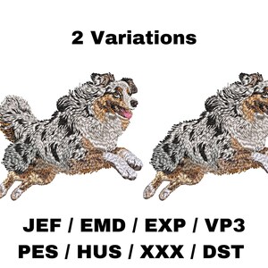 May include: Two variations of an embroidered design of an Australian Shepherd dog running. The dog is blue merle with brown markings. The text "2 Variations" is at the top of the image. The text "JEF/EMD/EXP/VP3 PES/HUS/XXX/DST" is at the bottom of the image.