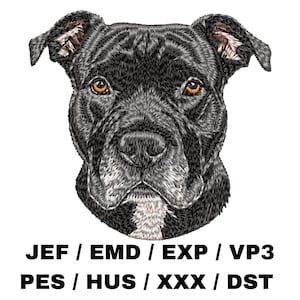 Puede incluir: Primer plano de la cara de un Pitbull negro. El perro tiene ojos marrones y una mancha blanca en el pecho. La imagen es un diseño de bordado digital.