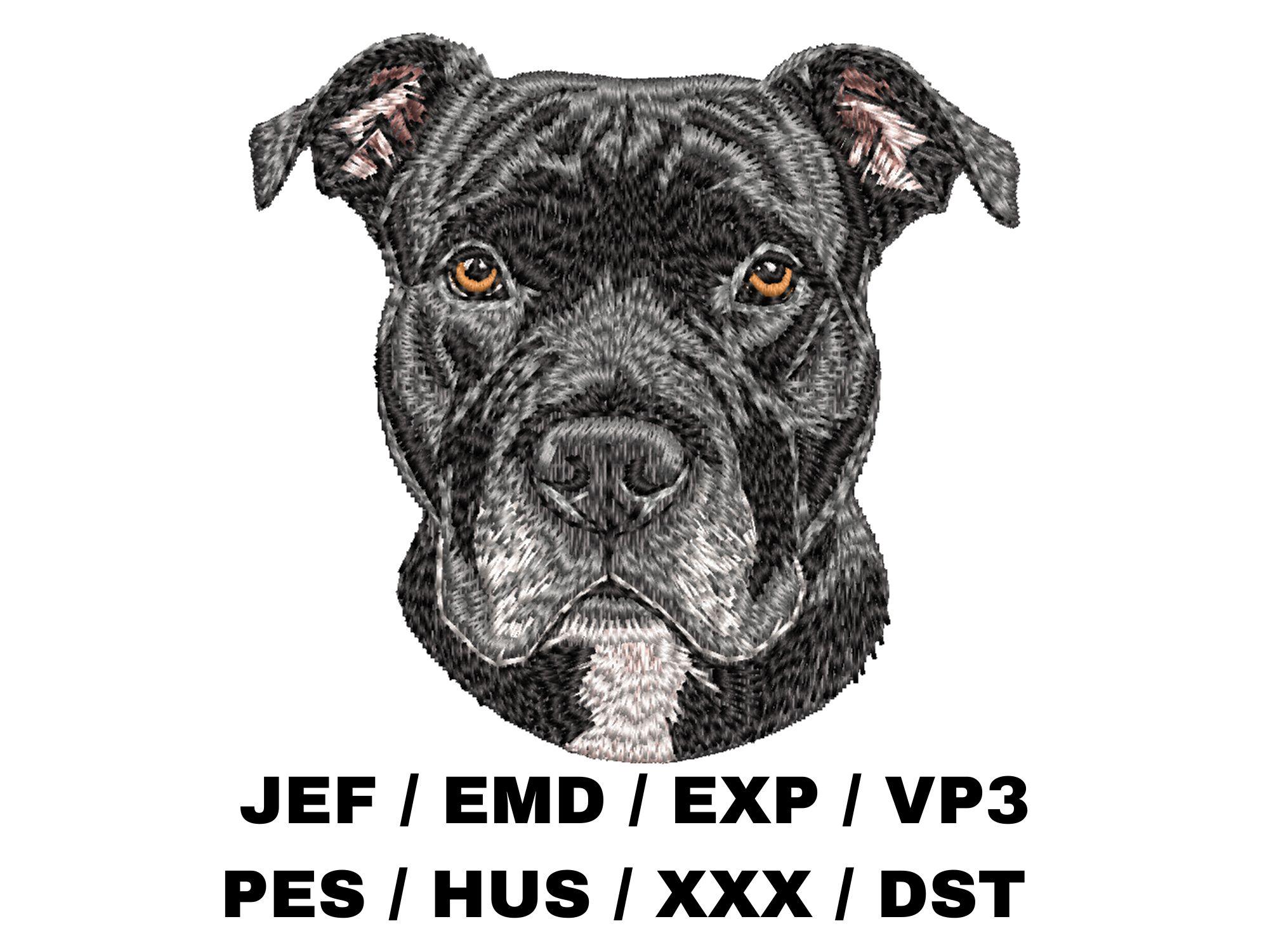 Buy Black Staffy Online In India India