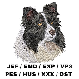 Shetland Sheepdog, Sheltie - Bi-Black, Dog Lover Gifts, Realistic Dog, Beautiful Animal, Pet Owner, Easy Project, Home Decor, Cute Crafts