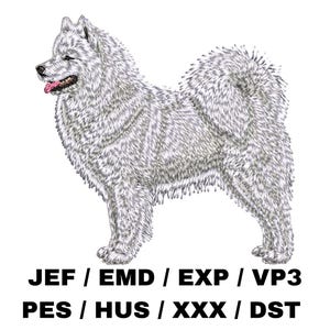 May include: White fluffy Samoyed dog with a pink tongue sticking out. The dog is standing on a white background.