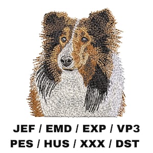 Shetland Sheepdog Embroidery File - Sable Coat, Dog Lover Gifts, Realistic Dog, Beautiful Sheltie, Collie, Herding, Easy Project, Home Decor