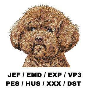 Red Poodle embroidery file - Poodle Gifts - Dog Art Realistic Dog