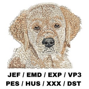 Golden Retriever Puppy 1 embroidery file - Dog art, dog gifts, yellow retriever, realistic dog