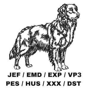 Puede incluir: Ilustración en blanco y negro de un perro en líneas. El perro está de pie con la cabeza girada hacia un lado y mirando hacia arriba. El pelo del perro está detallado con líneas cortas y finas.