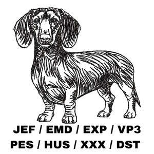 Pode incluir: Ilustração de linha preta e branca de um cão salsicha em pé com as pernas separadas. O cão está olhando para a frente com as orelhas levantadas. O texto "JEF / EMD / EXP / VP3 PES / HUS / XXX / DST" está abaixo da imagem.