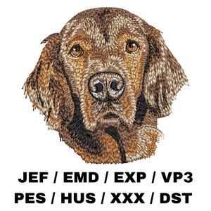 May include: Embroidered design of a brown dog's head with a serious expression. The dog has brown fur and a long snout. The design is suitable for embroidery projects.