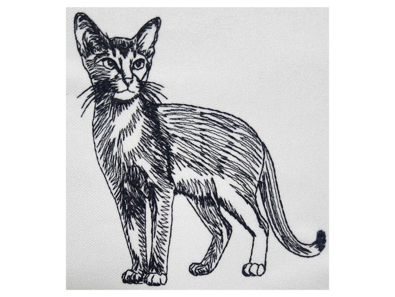 Abyssinian Cat Outline Embroidery Design – Sketch Style, Feline Art ...