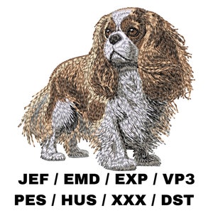 Puede incluir: Diseño bordado de un perro Cavalier King Charles Spaniel marrón y blanco. El perro está de pie con la cabeza girada hacia un lado. El diseño es adecuado para proyectos de bordado.