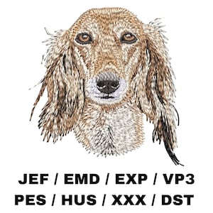 May include: Embroidered image of a tan and white Saluki dog with brown eyes. The dog's head is facing forward with its ears perked up. The image is surrounded by a white background.