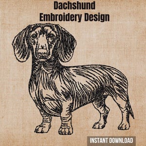 Può includere: Un'illustrazione a linee nere di un cane bassotto su uno sfondo beige testurizzato. Il testo "Dachshund Embroidery Design" appare in alto e il testo "INSTANT DOWNLOAD" si trova nell'angolo in basso a destra dell'immagine.