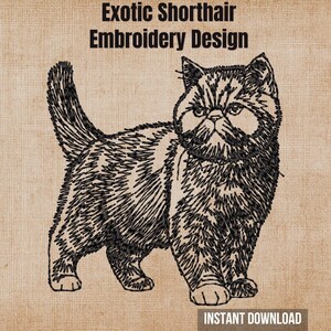 May include: An embroidery design featuring a black line art illustration of an Exotic Shorthair cat standing with its tail raised. The text "Exotic Shorthair Embroidery Design" appears at the top, and "INSTANT DOWNLOAD" is at the bottom.