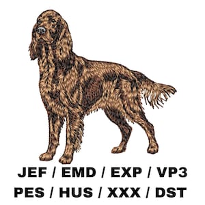 Pode incluir: Ilustração detalhada de um cão Setter irlandês em tons de castanho e bege, sobre um fundo branco. O pelo do cão é meticulosamente representado. O texto na parte inferior diz: JEF / EMD / EXP / VP3 PES / HUS / XXX / DST.